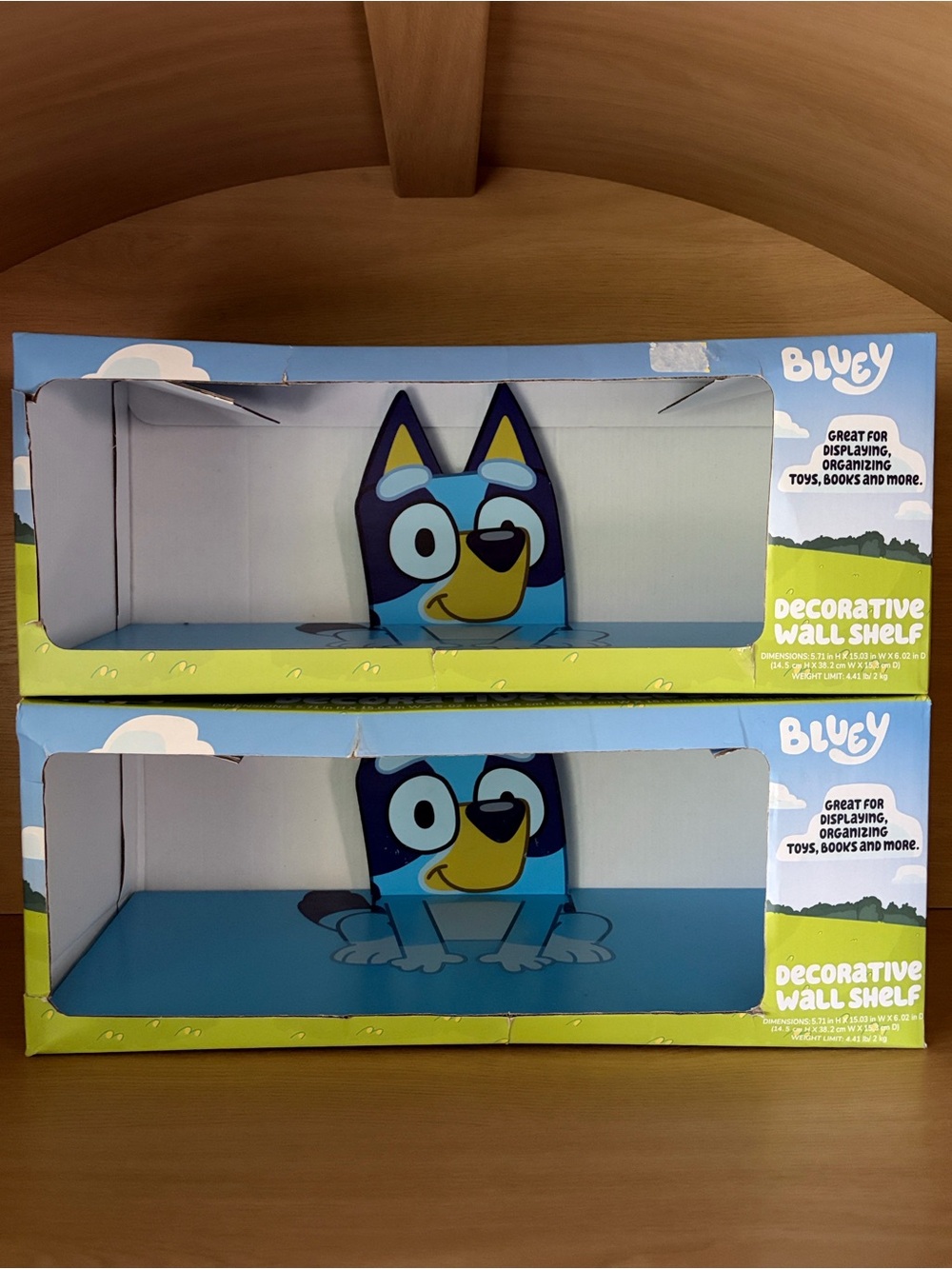 ✨$20✨NIB• Set of 2 Bluey Decorative Wall Shelves